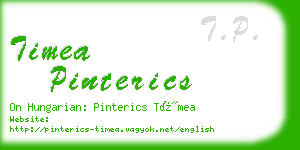 timea pinterics business card